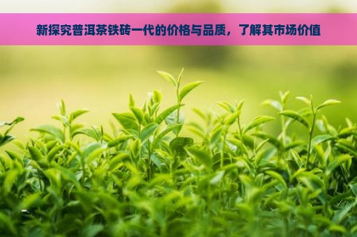 新探究普洱茶铁砖一代的价格与品质，了解其市场价值