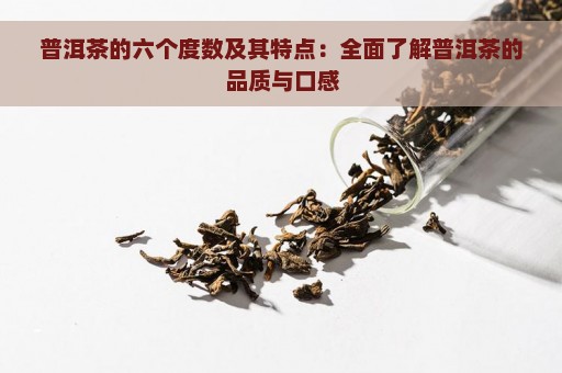 普洱茶的六个度数及其特点：全面了解普洱茶的品质与口感