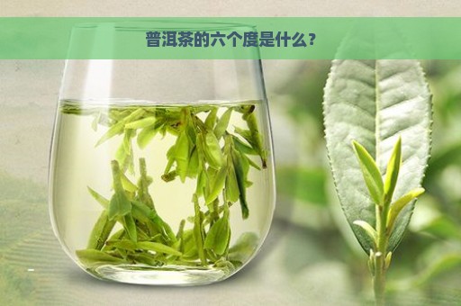 普洱茶的六个度是什么？