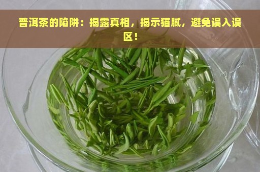 普洱茶的陷阱：揭露真相，揭示猫腻，避免误入误区！