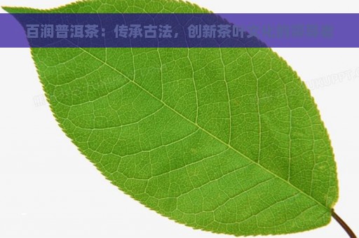 百润普洱茶：传承古法，创新茶叶文化的领导者