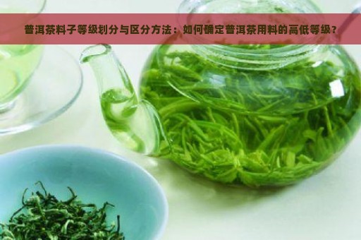 普洱茶料子等级划分与区分方法：如何确定普洱茶用料的高低等级？