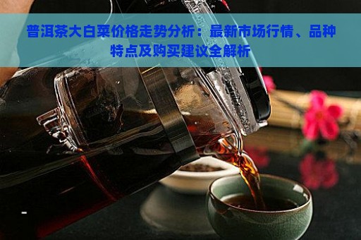 普洱茶大白菜价格走势分析：最新市场行情、品种特点及购买建议全解析