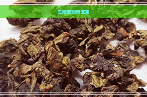 五粮液加普洱茶