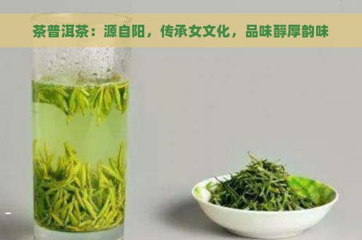 茶普洱茶：源自阳，传承女文化，品味醇厚韵味