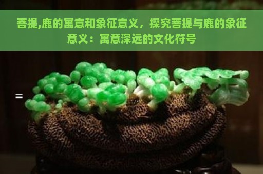 菩提,鹿的寓意和象征意义，探究菩提与鹿的象征意义：寓意深远的文化符号