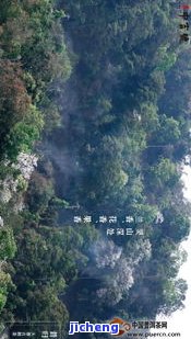 昔归古树茶山：地理位置与价格全解析