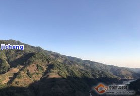 昔归在哪个山头？产地、品质解析