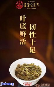 宜春昔归-昔归春茶价格