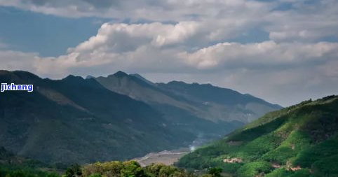 冰岛昔归茶叶产地是哪里？探索神秘的冰岛茶区及其