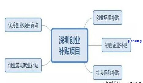 深圳个体逾期申报处理流程及罚款规定