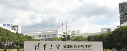 深圳深国投：场地址、电话及国企身份全揭秘