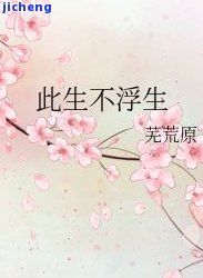 此生不念安：小说免费阅读