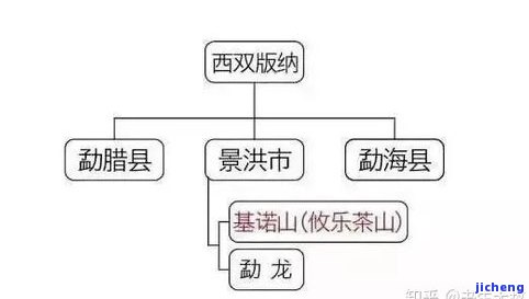 全面解析：昔归茶特点、口感及气味