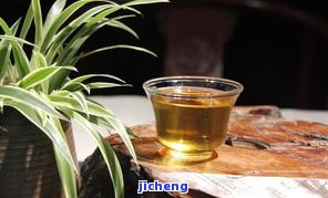 昔归茶叶叶片特点：大叶种、茶香浓，茶叶底肥厚匀整，口感醇和回。