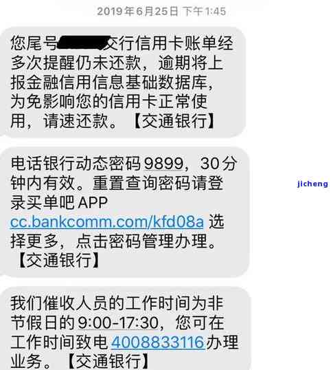 金蟾项链的寓意是什么-金蟾项链的寓意是什么意思