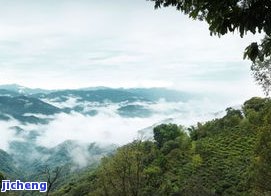 普洱茶的寨子叫什么，探寻普洱茶的源头：揭秘那些特别的寨子名字