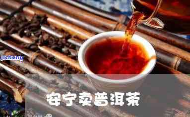 普洱茶知名度：高？低？探讨起因与作用