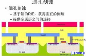 带鹿吊坠的寓意是什么-带鹿吊坠的寓意是什么意思