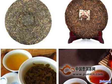 深入了解：山楂与普洱茶的区别