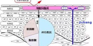 逾期办理信用卡-逾期办理信用卡有影响吗