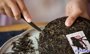 探索普洱茶易武茶区：山头茶、好茶及产区特色