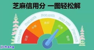 来分期招联逾期-来分期和招联金融上征信吗