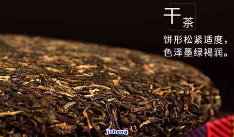 普洱茶的迷香特点：探索其特别的香气特性与魅力