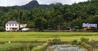 岭市普洱茶-岭市普洱茶厂地址