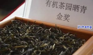 普洱茶永平：茶王、中跃与王树传承