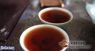 最大的普洱茶树在哪里，揭秘：世界上最大的普洱茶树位于何处？