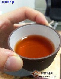 普秀清普洱茶-普秀 普洱茶