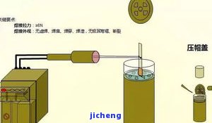 普洱茶的牌号大全：知名的种类与选择