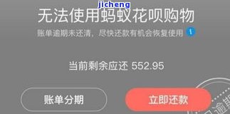 云南橄榄茶，品尝云南特色：橄榄茶的魅力与故事