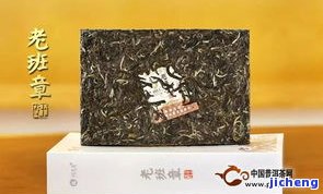 云南普洱茶林，探秘云南普洱茶林：品味千年古树的韵味