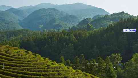 马岗山图片