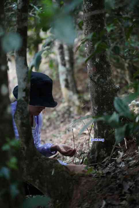 太阳花吊坠带上老不老-太阳花吊坠带上老不老掉