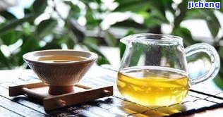 普洱茶浇西瓜-普洱茶浇西瓜好吗