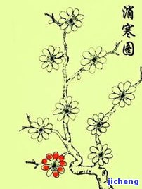 糥冰飘花什么意思，探秘「糥冰飘花」的含义与由来