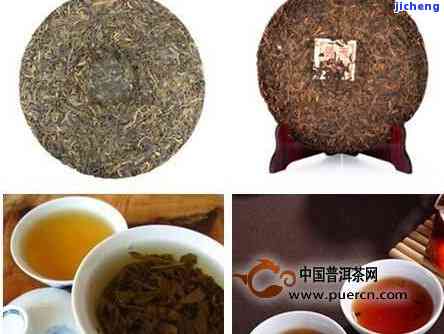 普洱茶籽贵吗-普洱茶籽贵吗值得买吗