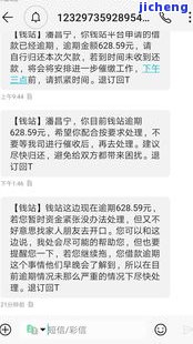 发逾期5天威胁还款，1个月后立案？需要写说明吗？