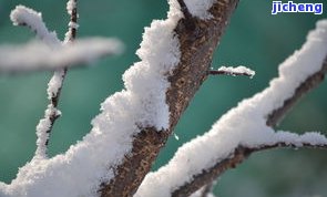 独龙玉冰翠：冰清玉洁的天然美，如雪花般纯净无暇的独龙玉冰种