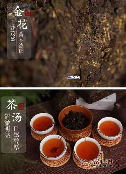 普洱茶陈一凡和福茗源那个好，普洱茶迷的福音：陈一凡与福茗源，哪个更好？