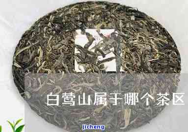 土司普洱茶砖，「土司普洱茶砖」：传统与现代的完美结合，品味特别的普洱魅力