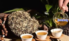 普洱茶品茗杯：图片与价格一览