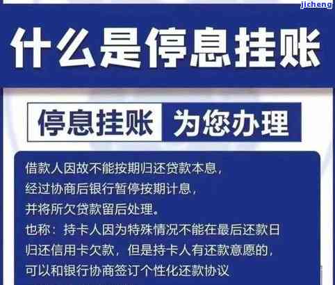 大树普洱茶的药用价值与功效探析