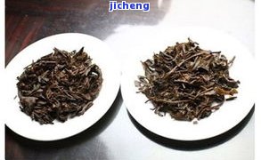 普洱茶铁盒价格全览：多少钱一盒及图片信息