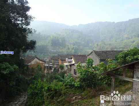 盘磨山普洱茶-盘磨山普洱茶产地