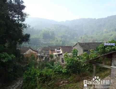 绵阳市普洱茶-绵阳市普洱茶产地