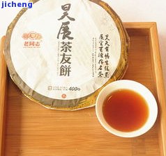 昊茗普洱茶饼-昊茗普洱茶价格表